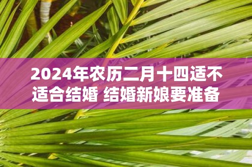 2025年农历二月十四适不适合结婚 结婚新娘要准备红包吗