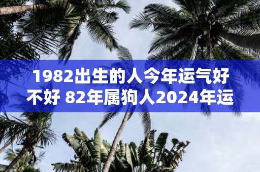 1982出生的人今年运气好不好 82年属狗人2025年运势详解