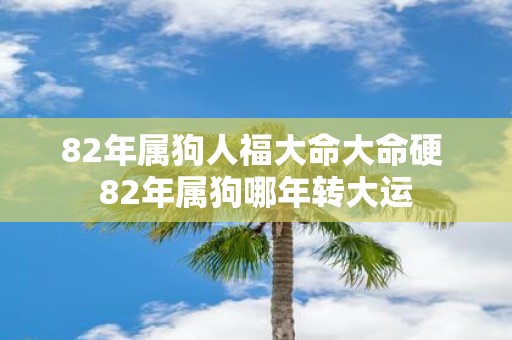 82年属狗人福大命大命硬 82年属狗哪年转大运