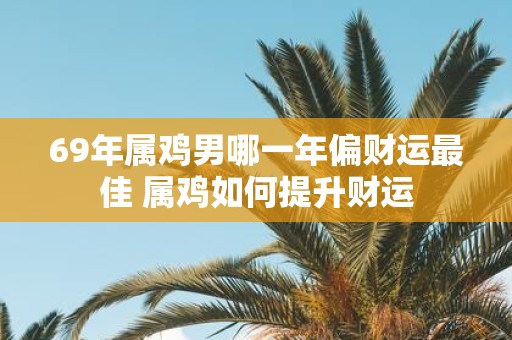 69年属鸡男哪一年偏财运最佳 属鸡如何提升财运