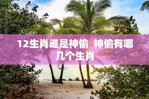 12生肖谁是神偷 神偷有哪几个生肖