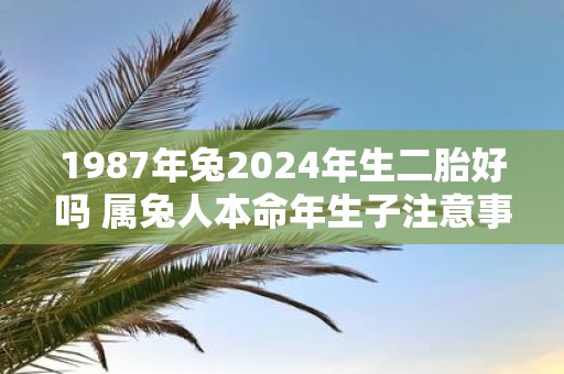 1987年兔2025年生二胎好吗 属兔人本命年生子注意事项