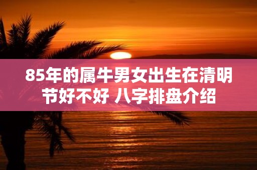 85年的属牛男女出生在清明节好不好 八字排盘介绍