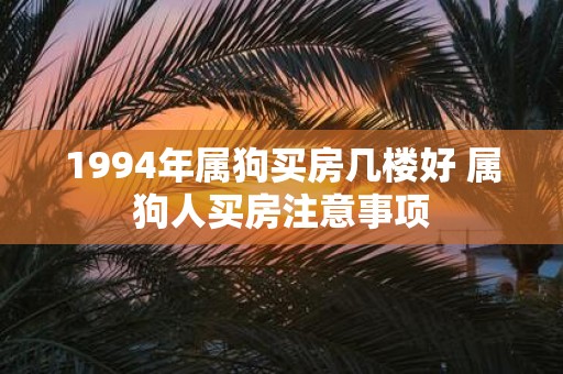 1994年属狗买房几楼好 属狗人买房注意事项