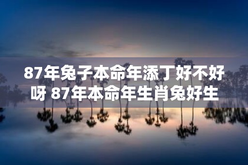 87年兔子本命年添丁好不好呀 87年本命年生肖兔好生孩子吗