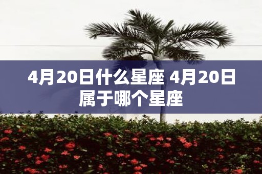 4月20日什么星座 4月20日属于哪个星座
