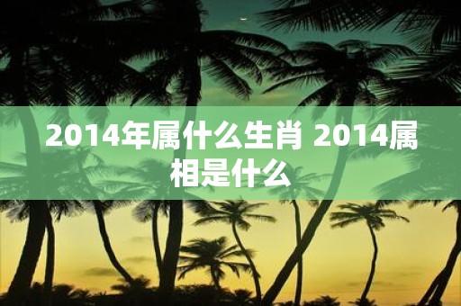 2014年属什么生肖 2014属相是什么