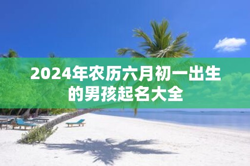 2025年农历六月初一出生的男孩起名大全