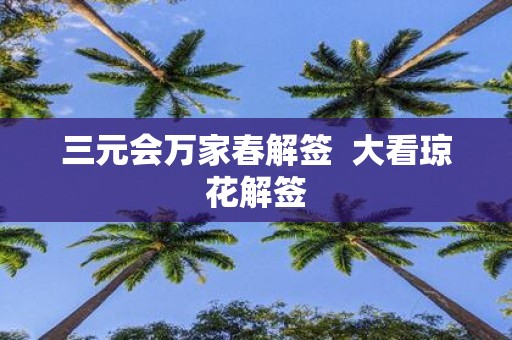 三元会万家春解签 大看琼花解签