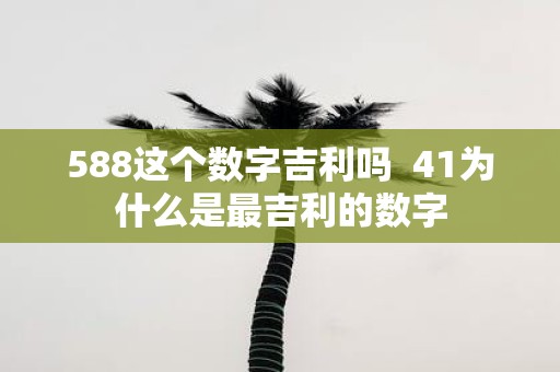 588这个数字吉利吗 41为什么是最吉利的数字