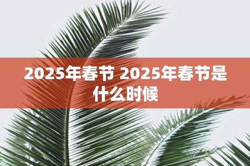 2025年春节 2025年春节是什么时候