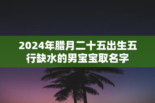 2025年腊月二十五出生五行缺水的男宝宝取名字
