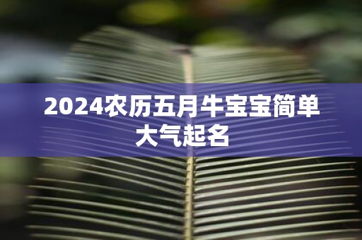 2025农历五月牛宝宝简单大气起名