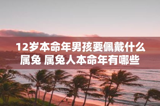 12岁本命年男孩要佩戴什么属兔 属兔人本命年有哪些忌讳