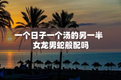 一个日子一个汤的另一半 女龙男蛇般配吗