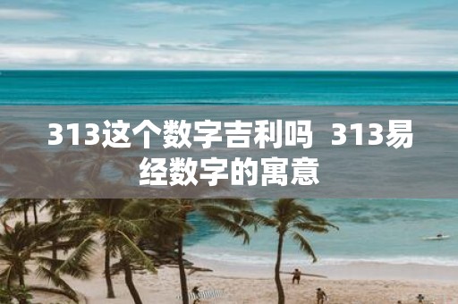 313这个数字吉利吗 313易经数字的寓意