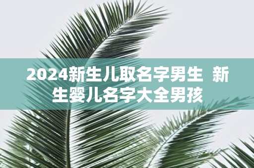2025新生儿取名字男生 新生婴儿名字大全男孩