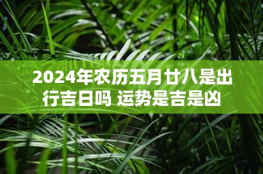 2025年农历五月廿八是出行吉日吗 运势是吉是凶