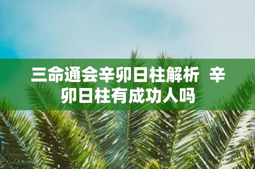 三命通会辛卯日柱解析 辛卯日柱有成功人吗