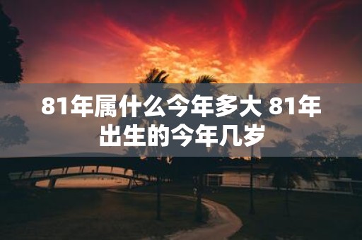 81年属什么今年多大 81年出生的今年几岁