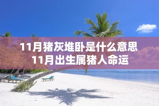 11月猪灰堆卧是什么意思 11月出生属猪人命运