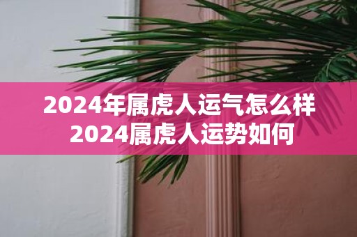 2025年属虎人运气怎么样 2025属虎人运势如何