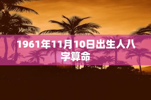 1961年11月10日出生人八字算命