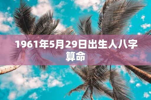 1961年5月29日出生人八字算命