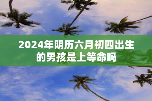 2025年阴历六月初四出生的男孩是上等命吗