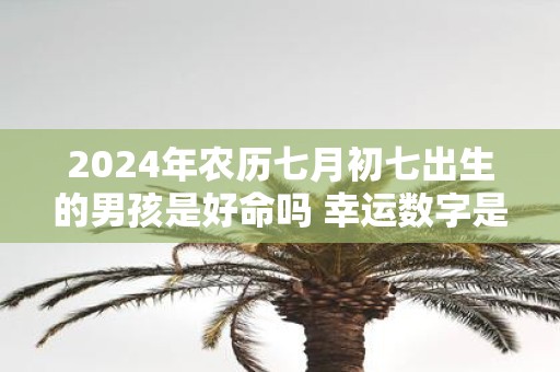 2025年农历七月初七出生的男孩是好命吗 幸运数字是什么