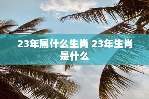 23年属什么生肖 23年生肖是什么