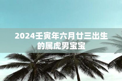 2025壬寅年六月廿三出生的属虎男宝宝