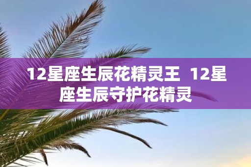 12星座生辰花精灵王 12星座生辰守护花精灵