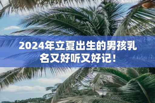 2025年立夏出生的男孩乳名又好听又好记！