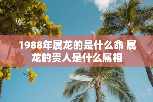 1988年属龙的是什么命 属龙的贵人是什么属相