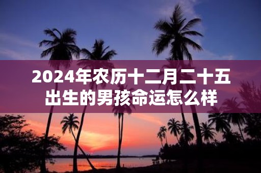 2025年农历十二月二十五出生的男孩命运怎么样