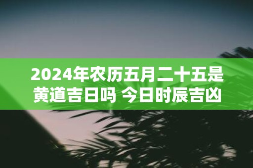 2025年农历五月二十五是黄道吉日吗 今日时辰吉凶