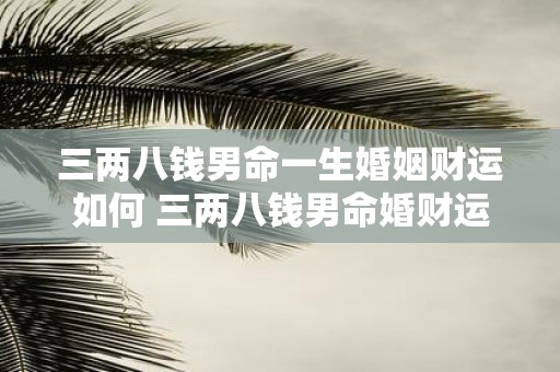 三两八钱男命一生婚姻财运如何 三两八钱男命婚财运如何