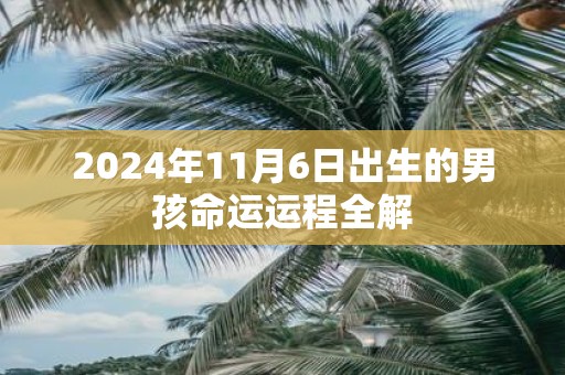2025年11月6日出生的男孩命运运程全解