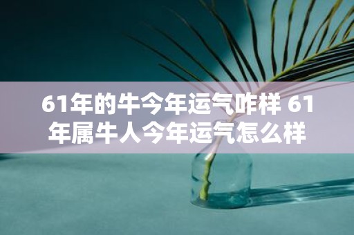 61年的牛今年运气咋样 61年属牛人今年运气怎么样