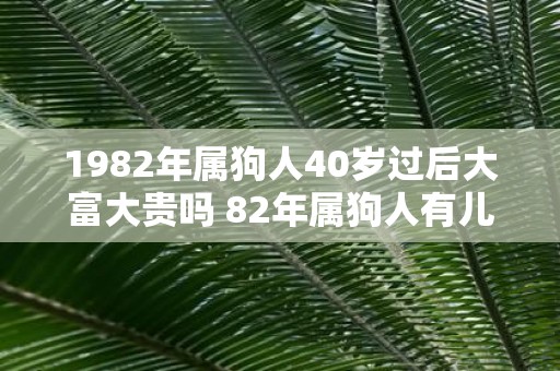 1982年属狗人40岁过后大富大贵吗 82年属狗人有儿子吗