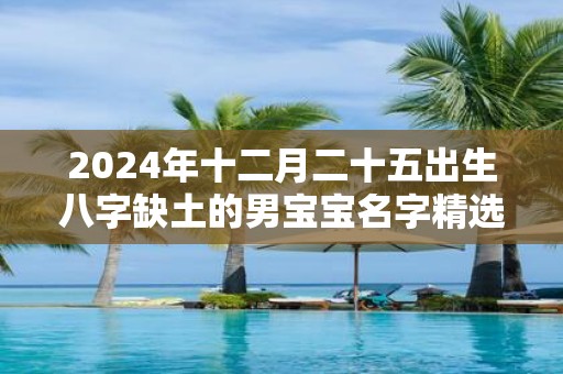 2025年十二月二十五出生八字缺土的男宝宝名字精选