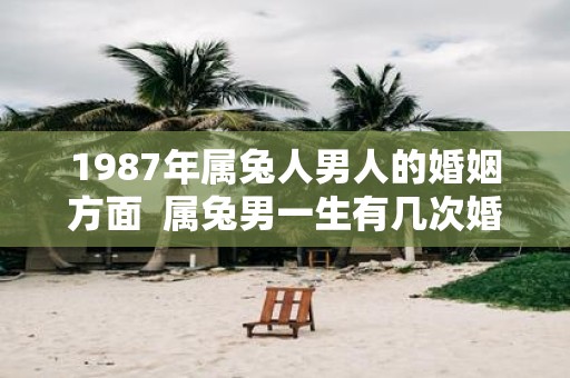 1987年属兔人男人的婚姻方面 属兔男一生有几次婚姻