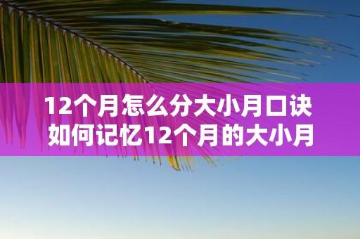 12个月怎么分大小月口诀 如何记忆12个月的大小月