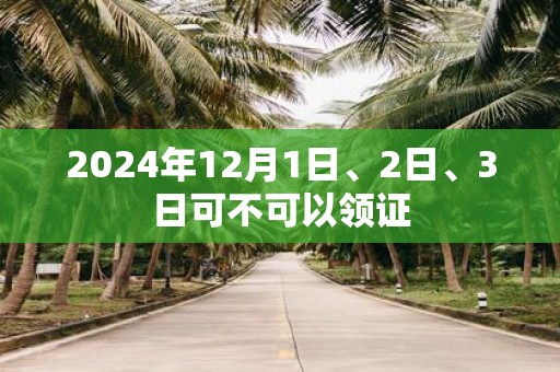 2025年12月1日、2日、3日可不可以领证
