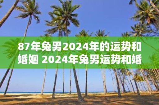 87年兔男2025年的运势和婚姻 2025年兔男运势和婚姻如何