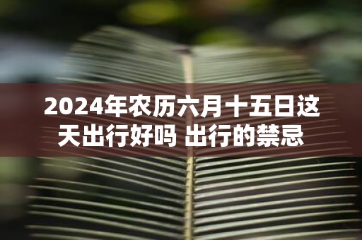 2025年农历六月十五日这天出行好吗 出行的禁忌