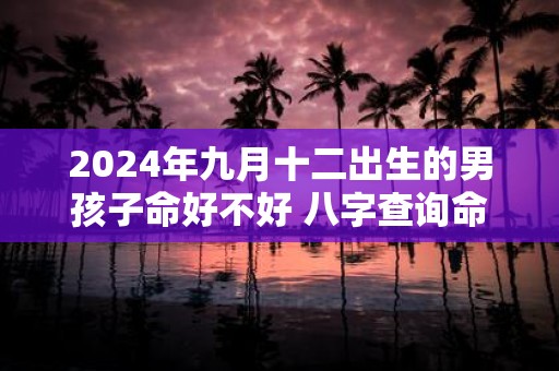 2025年九月十二出生的男孩子命好不好 八字查询命理