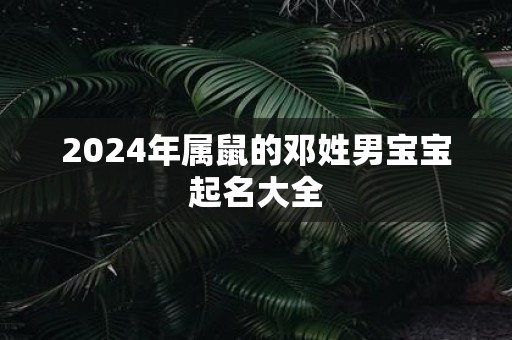 2025年属鼠的邓姓男宝宝起名大全