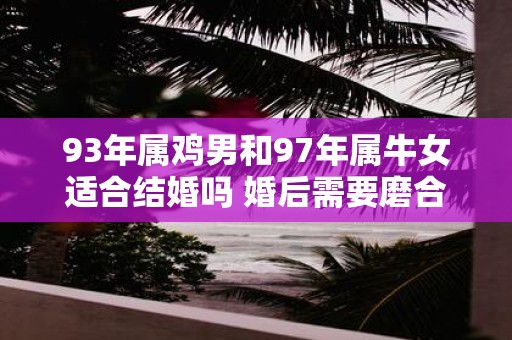 93年属鸡男和97年属牛女适合结婚吗 婚后需要磨合